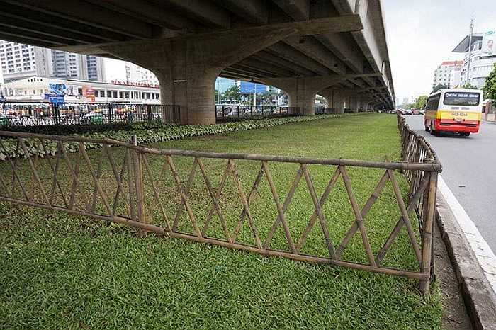 Dải phân cách được trồng cỏ này nằm dưới cầu vượt trên cao hiện đại trên đường vành đai 3.
