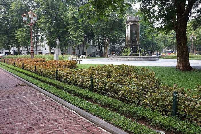 Những cọc nứa chăng dây nilon bên vườn hoa Con Cóc.