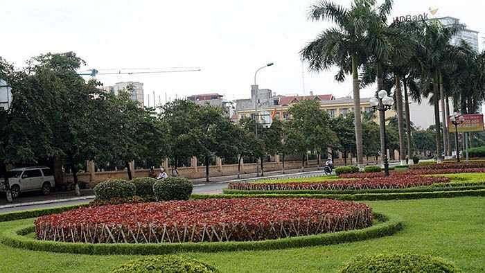 Những bồn hoa trên dải phân cách trên phố Văn Cao đều được rào bằng những thanh nứa chẻ nhỏ.