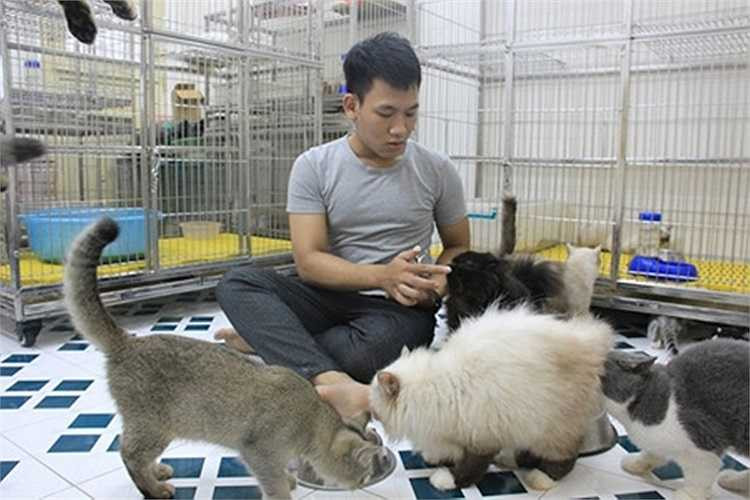 Được mẹ tặng cho một chú mèo khi đạt học sinh giỏi năm lớp 9, Thành Trung (SN 1993) rất thích thú và thích nuôi loài vật này từ đó. Trung lên mạng tìm hiểu và đặt mua 2 con mèo hiếm Ba Tư và mèo Exotic ở Nga với giá 40 triệu đồng/con. Sau khoảng 1 năm gây giống, Trung có hơn 15 chú mèo các loại. 