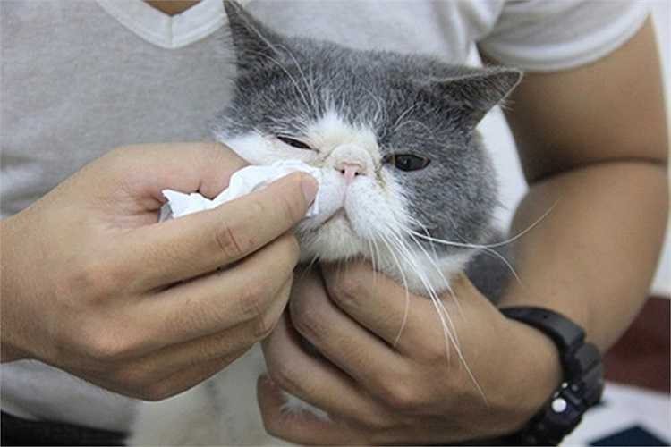 Chi phí cả ngày tính ra đến hơn 200.000 đồng. 