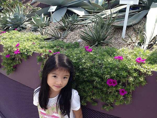 Dù đã ly hôn nhưng Trương Ngọc Ánh không muốn con gái bị tổn thương vì sự rạn nứt của bố mẹ. Chị và chồng cũ - diễn viên Trần Bảo Sơn - luôn cố gắng quan tâm, yêu thương Bảo Tiên để cô bé lớn lên trong tình yêu của mọi người. 