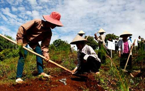 QUỸ “1 TRIỆU CÂY XANH CHO VIỆT NAM” TRỒNG CÂY XANH TẠI ĐỒI ĐỘC LẬP- ĐIỆN BIÊN PHỦ
