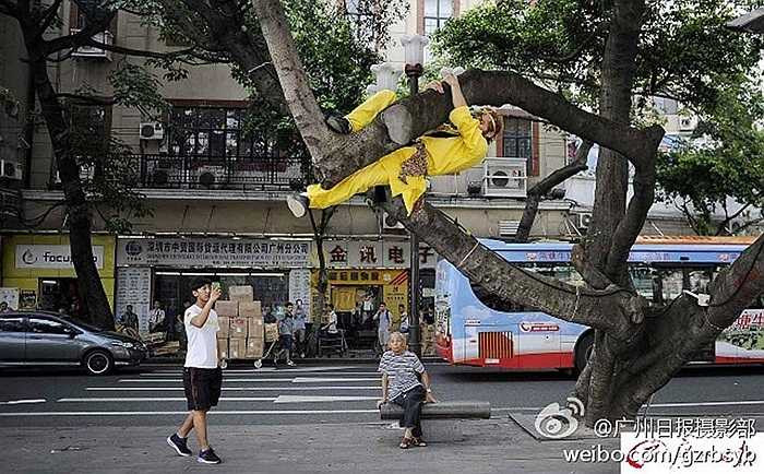 Chàng trai cho biết anh họ Trần, người Quảng Đông, Trung Quốc