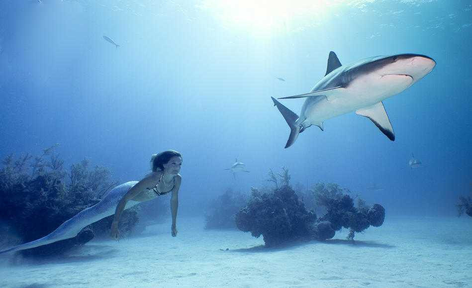 5 công việc kỳ quặc tưởng chỉ có trên phim