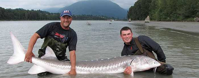 Thú vui câu cá tầm khổng lồ ở lưu vực biển Caspian và biển Đen thu hút các cần thủ trên khắp thế giới.