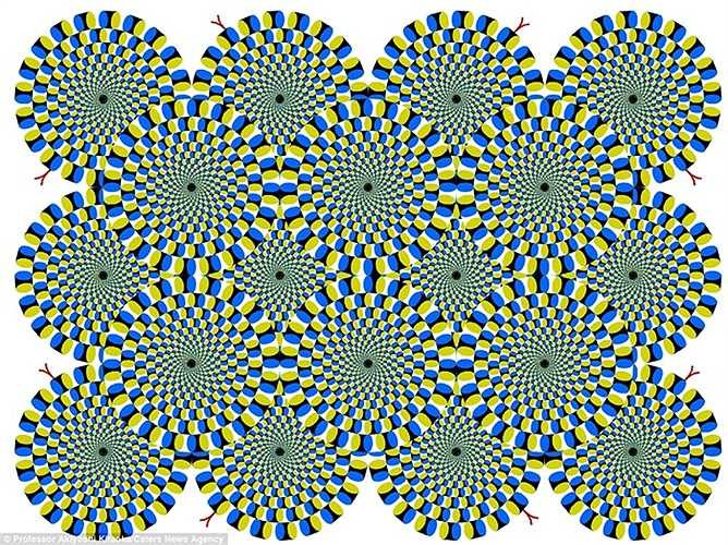 Những hình tròn như đang đan xoáy vào nhau nhưng thực chất chúng đều đang đứng im