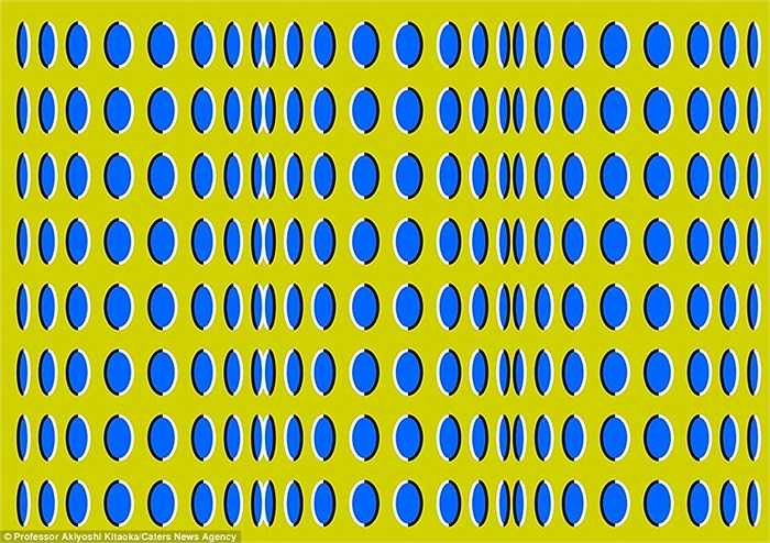 Có vẻ như tồn tại một làn sóng ngang với các hạt hình elip này nhưng đó chỉ là ảo giác