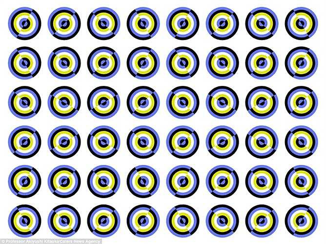 Không có hình bán nguyệt nào đang chuyển động thực sự trong bức ảnh này