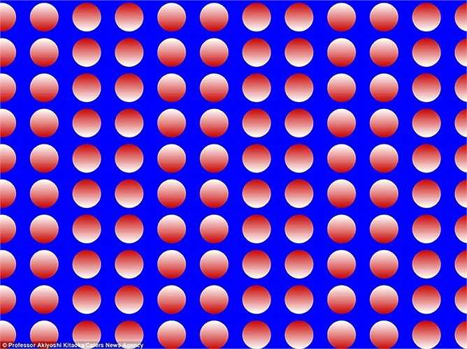 Không có làn sóng nào của những hình tròn này mà đó chỉ là ảo giác đánh lừa