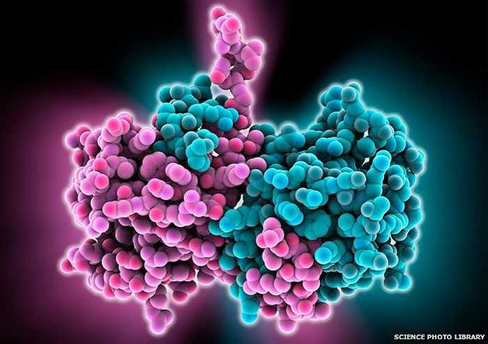 Hiện nay, để chuẩn bị ứng phó và phòng chống dịch bệnh do virus Ebola, WHO đã triển khai hàng loạt hoạt động tích cực và đưa ra khuyến cáo những người du lịch: 