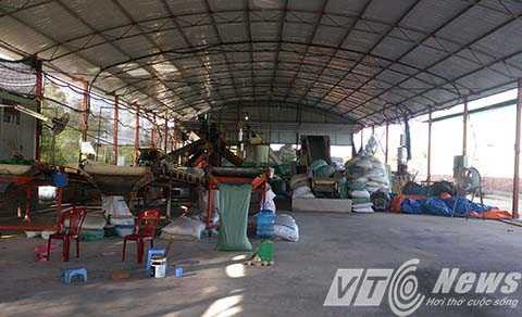 ô nhiễm, Công ty Việt Khai Tâm, phường Minh Đức, Đồ Sơn