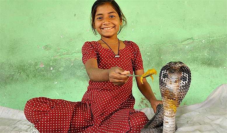 En Uttar Pradesh (India), existe una niña llamada Kajol Khan, honrada como la diosa serpiente.
