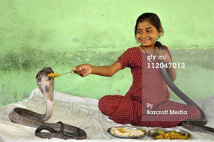 Kajol Khan confesó que no le gustaba ir a la escuela, solo le gustaba jugar con cobras reales.