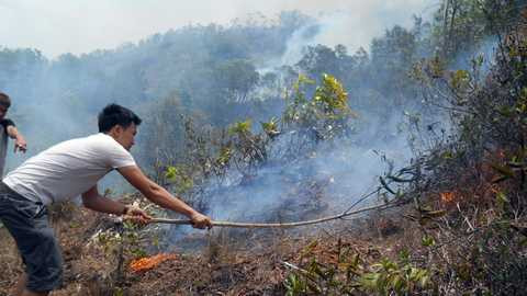 cháy rừng, dân đốt nhang, viếng mộ, "bà hỏa", núi Bà Hỏa, thiêu rụi