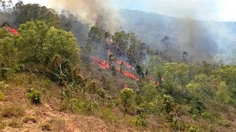 cháy rừng, dân đốt nhang, viếng mộ, "bà hỏa", núi Bà Hỏa, thiêu rụi