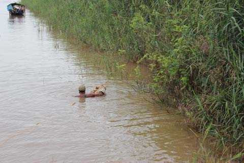 Cát Tường, chị Huyền, Thuê thợ lặn, lưới quét, tìm phần đầu, thẩm mỹ viện