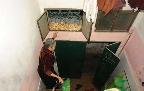 Cụ Rùa, Hồ Gươm, cá hồ Gươm, xin cơm, bánh mì, nuôi cá