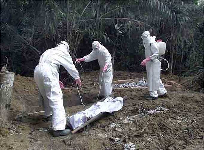90% số người mắc phải virus này có nguy cơ tử vong. Hiện nay y tế thế giới vẫn chưa tìm ra thuốc điều trị để kiểm soát được căn bệnh này. Ebola đang là mối lo ngại toàn thế giới.