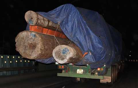 Quảng Trị, QL1A, chở gỗ quá khổ, quá tải, lực lượng chức năng