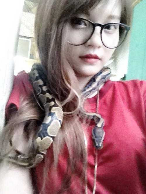 bảo mẫu thú cưng