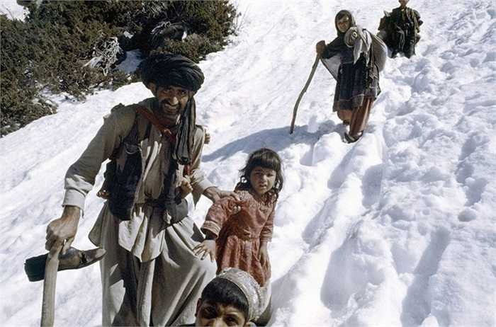 Người tị nạn Afghanistan, tháng 5/1980