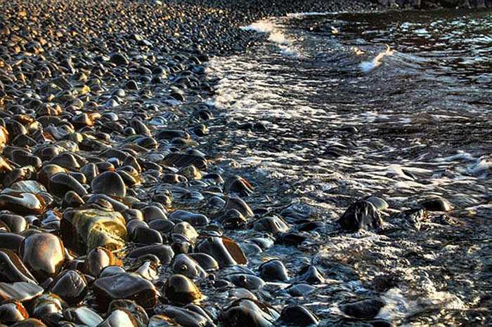 Các viên sỏi nhẵn thín, nhiều viên pha chút vân vàng, khiến chúng trở lên lấp lánh, rất đẹp. Không cưỡng lại được vẻ đẹp của những viên sỏi, nhiều du khách đã lấy về.