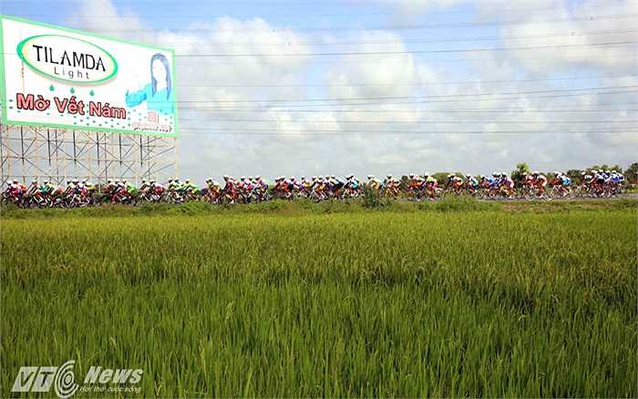 Đoàn đua qua một cánh đồng ở tỉnh Long An.