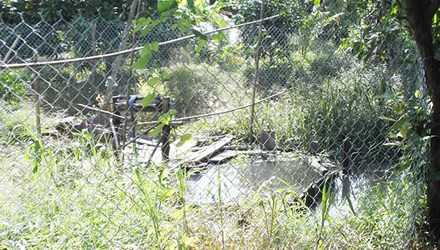 Sự thật về 'kho báu' chứa 1.500 kg vàng ở Đồng Tháp