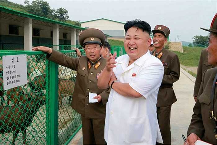 Chủ tịch Kim Jong-un thăm trại chăn nuôi của quân đội Triều Tiên