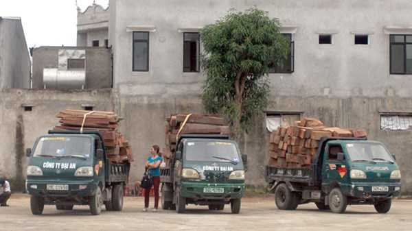 Minh 'Sâm' lập trạm cân trái phép sát ủy ban: Chính quyền xã 'không biết'?