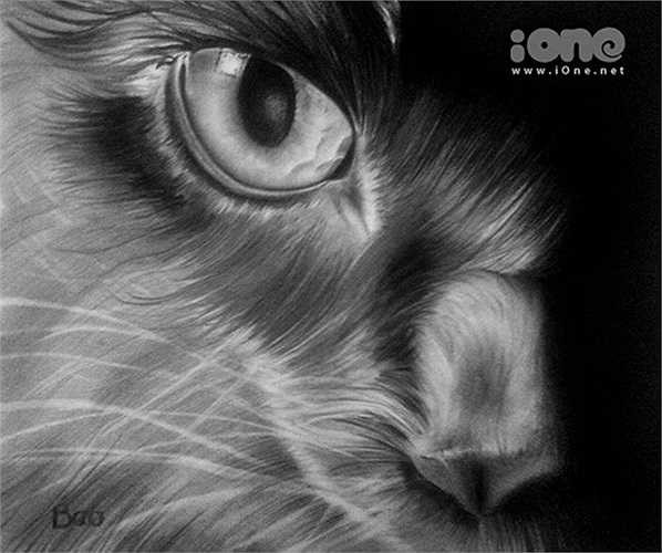 Theo cậu bạn, phần khó nhất của bức vẽ chính là đôi mắt. Phải thổi hồn, thể hiện được chính xác thần thái thì bức vẽ mới hoàn hảo.