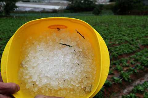 mưa đá, lịch sử, chân núi, Lang Biang, hư hại, hoa màu, nông dân