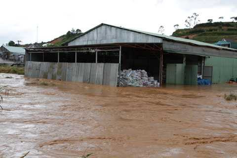 mưa đá, lịch sử, chân núi, Lang Biang, hư hại, hoa màu, nông dân