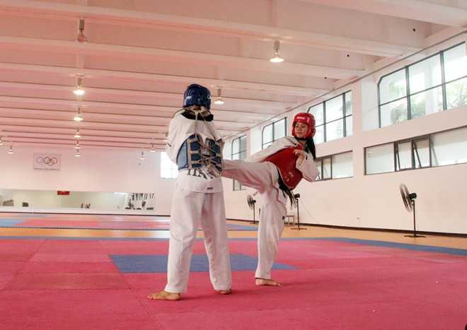 8 tuổi kiếm tiền, từ kiện tướng võ thuật thành thủ khoa