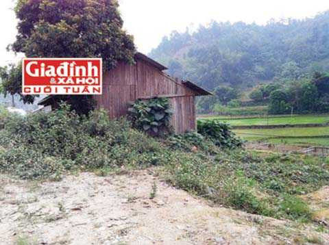 giết chồng, người tình, huyện Bảo Thắng, Công an tỉnh Lào Cai