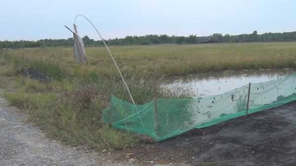 TPHCM: Bom vứt ven đường, người dân nơm nớp lo sợ