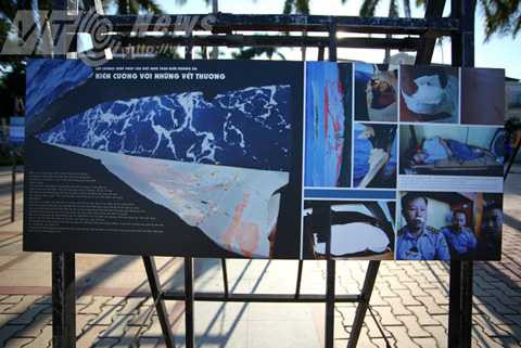 Triển lãm, gần 1000 bức ảnh, Hoàng Sa, Trường Sa, biển đảo, Việt Nam, Nguyễn Á