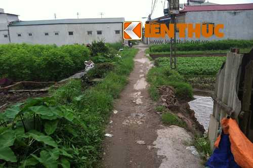 Làng nghèo cơ cực ngay giữa Hà Nội