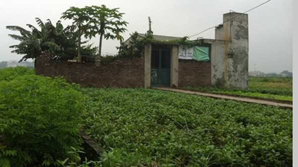 Làng nghèo cơ cực ngay giữa Hà Nội