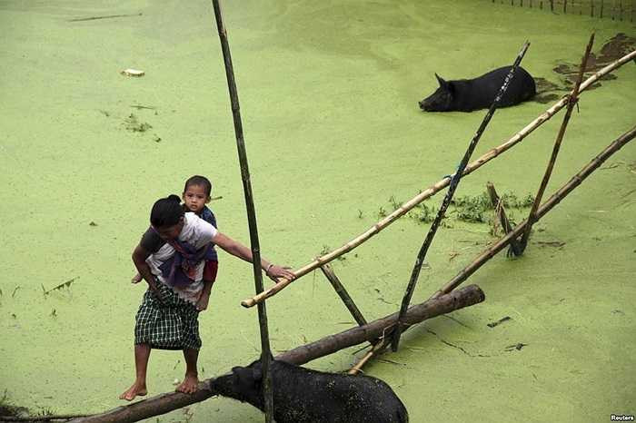 Một người dân làng cõng một em nhỏ đi qua cây cầu tre tạm bợ để vượt qua chỗ bị ngập lụt ở huyện Jorhat, bang Assam đông bắc Ấn Độ