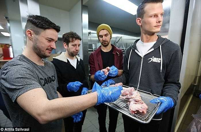 Hơn 160 cửa hàng KFC ở Úc đã gây bất ngờ khi cho phép các khách hàng tham quan khu bếp chế biến đồ ăn