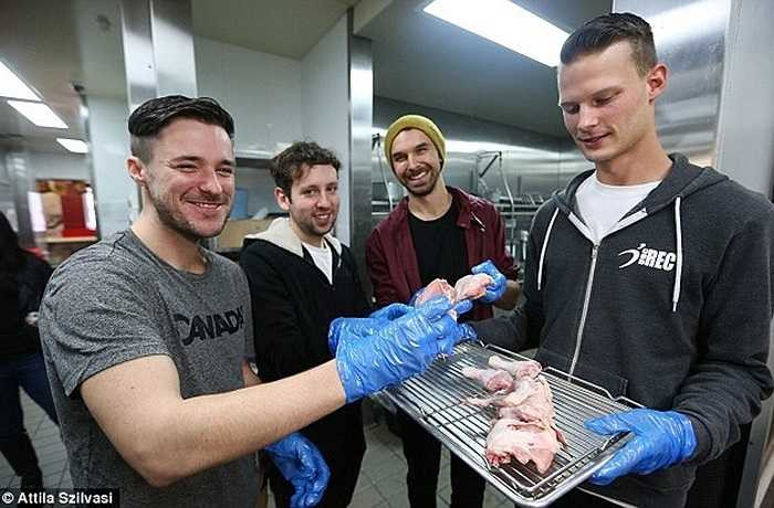 Hãng thức ăn nhanh khổng lồ vẫn kiên quyết không tiết lộ các thành phần gồm 11 loại thảo mộc và gia vị bí mật trong công thức của họ. Tuy nhiên, họ đã công khai cho mọi người thấy quy trình chế biến thực phẩm (từ sống tới chín) trong khu nhà bếp của cửa hàng. 