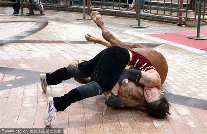 Vì đây là môn thể thao cực kỳ nguy hiểm nên thù lao trả cho những đấu sỹ rất cao, ước tính có thể lên đến 50.000 tệ (tương đương 172 triệu VNĐ)