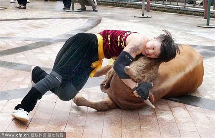 Mạo hiểm tính mạng nhưng đấu sỹ này vẫn mỉm cười khi chế ngự được chú bò to lớn