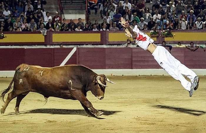 Ngoài cách 'vật bò' ở Chiết Giang, một môn thể thao lâu đời khác cũng liên quan đến bò có tên là Recortadores