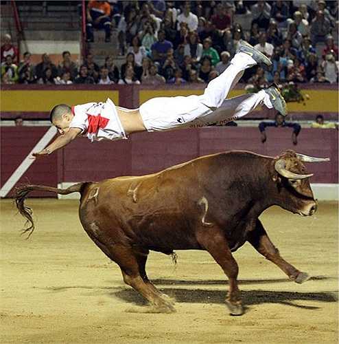Đây là trò chơi mà những người tham gia không được dùng kiếm đâm vào bò. Họ phải tìm mọi cách để nhảy qua những chú bò tót hung hãn