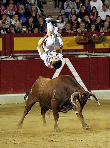 Đây được coi là sự thay thế cho môn đấu bò truyền thống đang bị lên án vì tính nhân đạo tại xứ bò tót