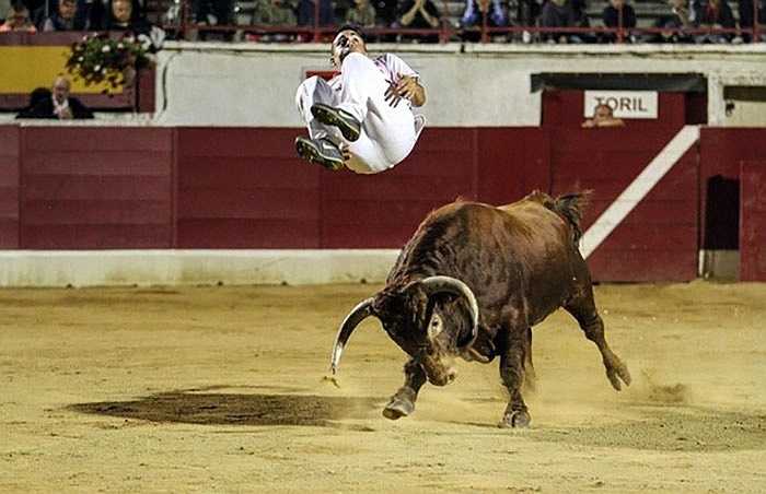 Những màn lộn santo đẹp mặt của đấu sỹ