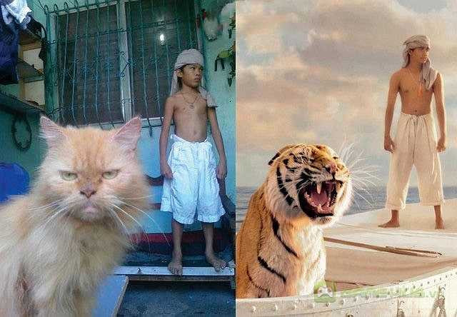 Life of Pi vs phiên bản Bengal mèo xù hài hước